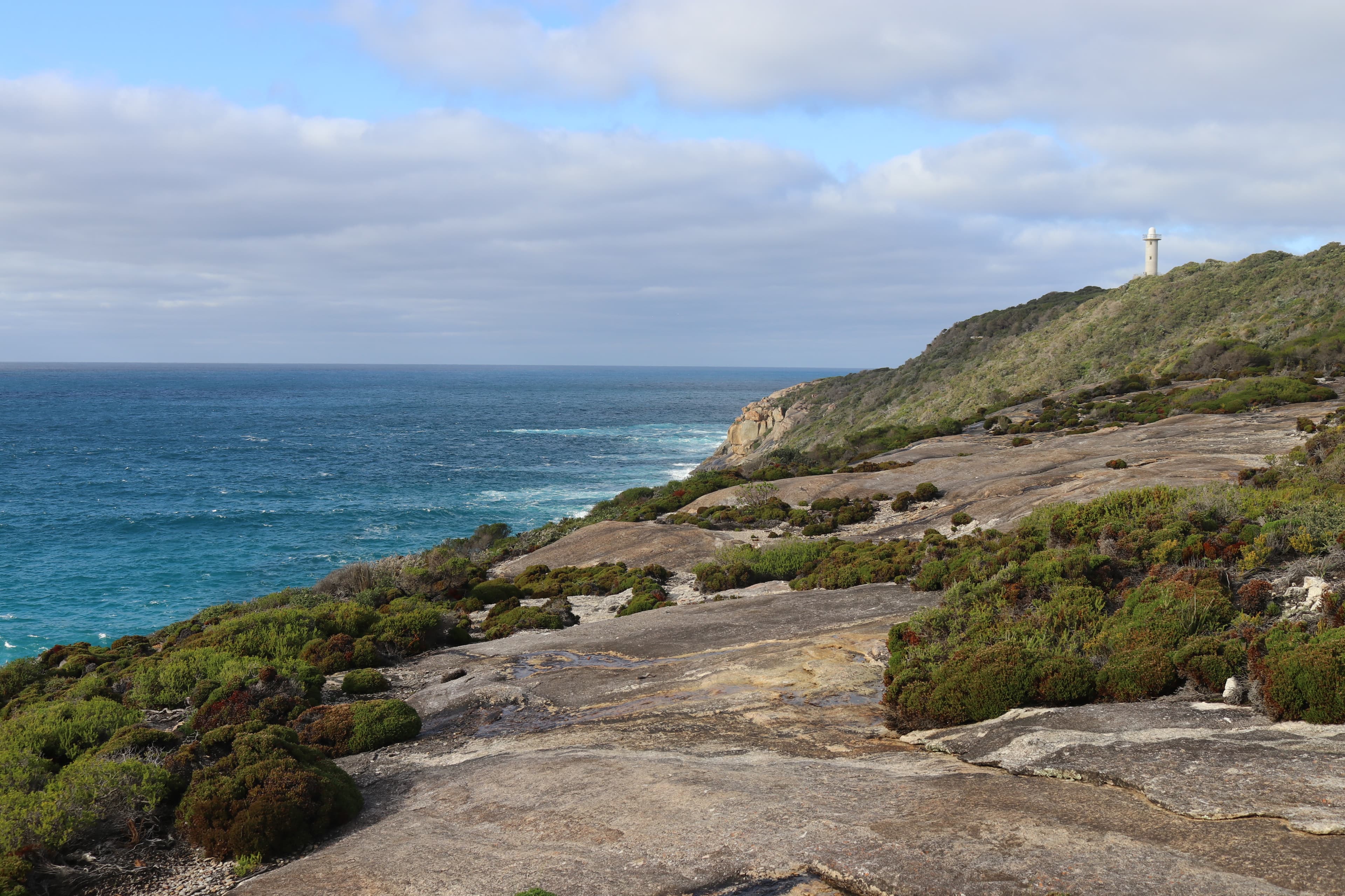 Albany Highlights - IMG 2381