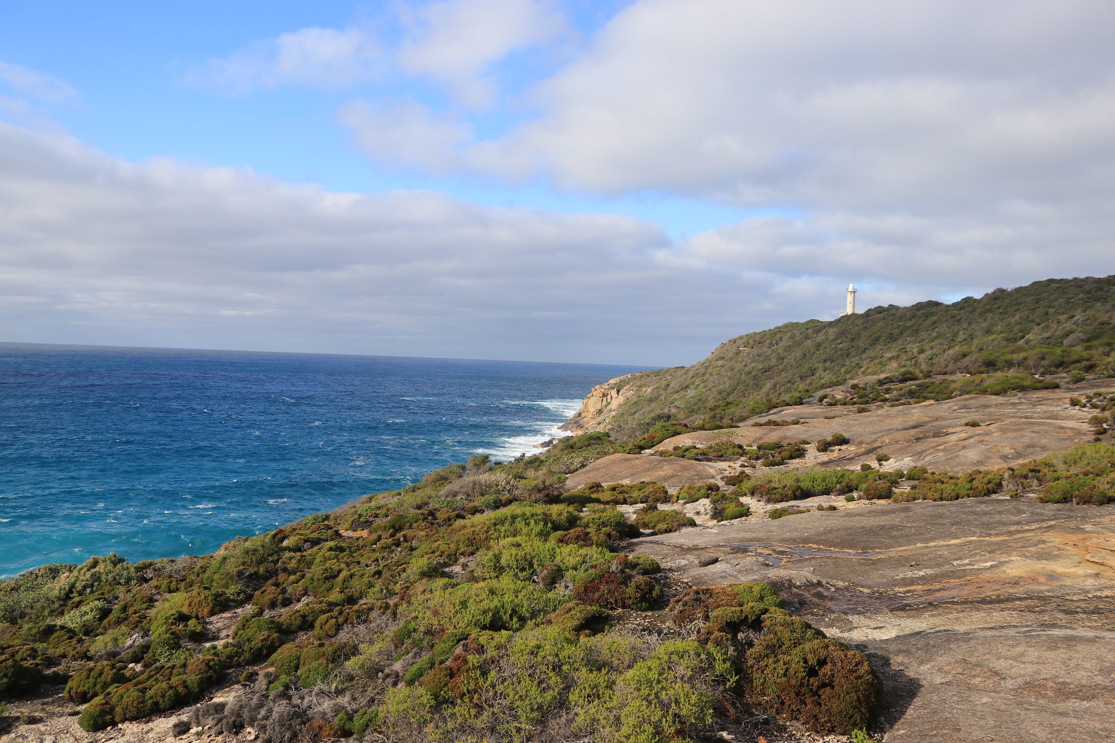 Albany Highlights - IMG 2388