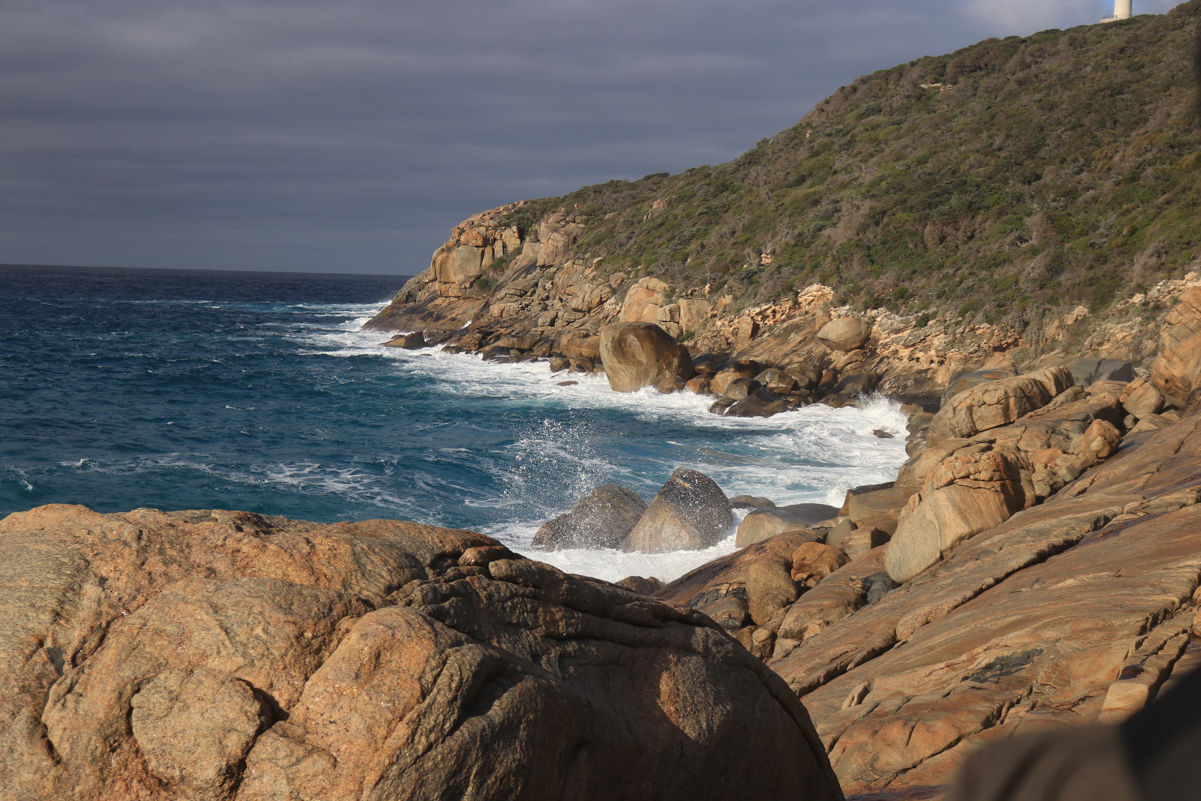 Albany Highlights - IMG 2415