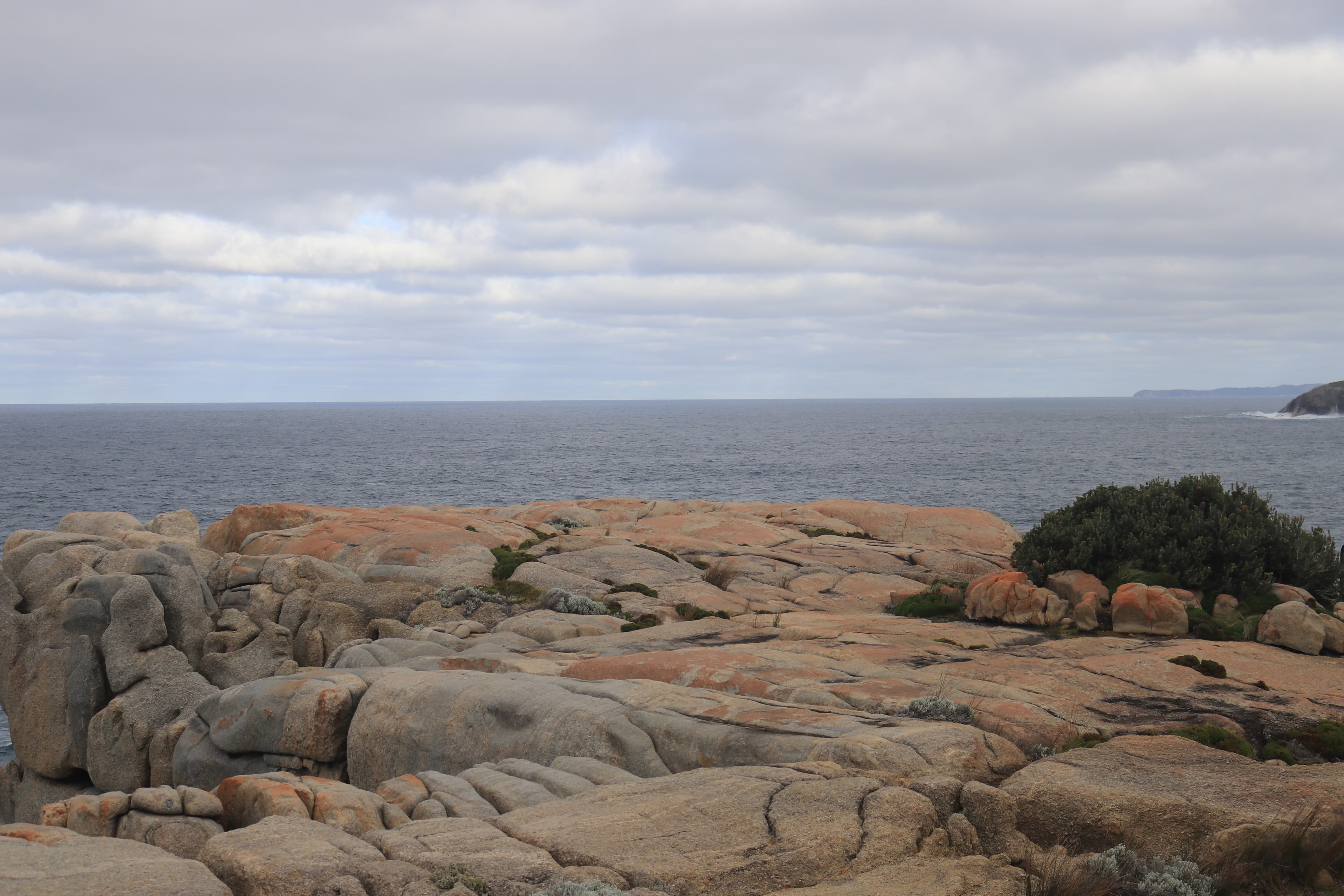 Albany Highlights - IMG 2436