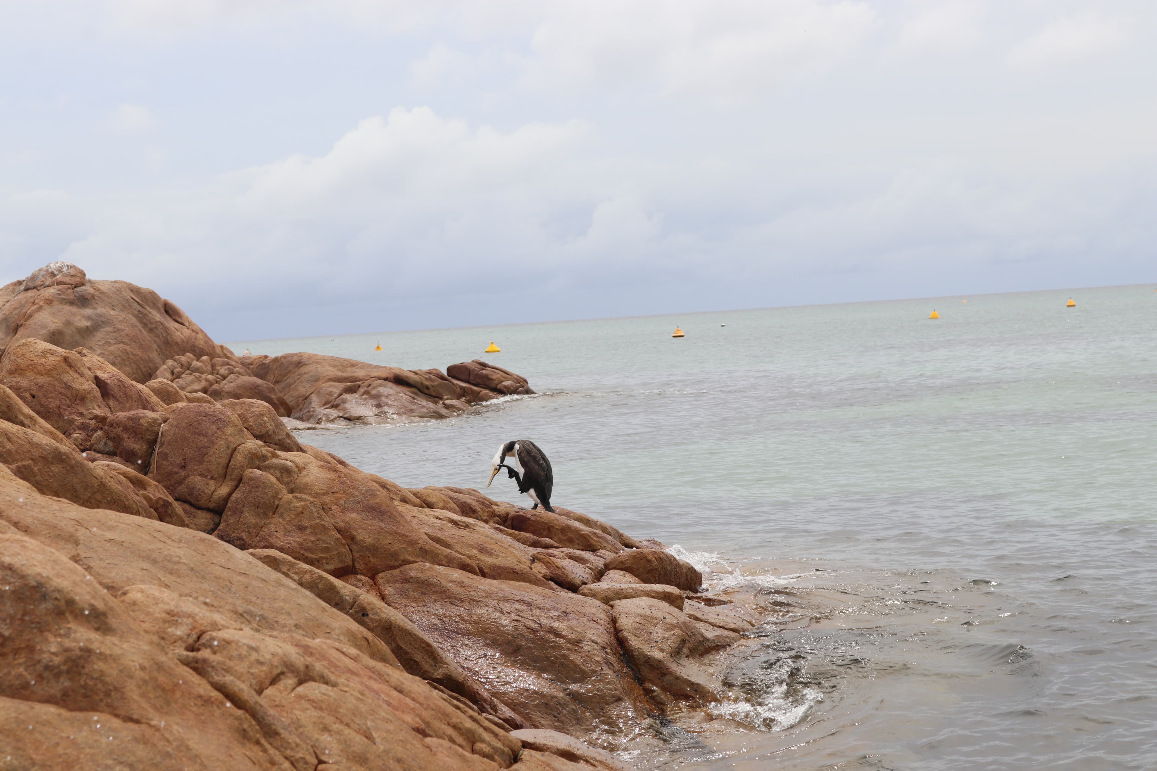 Albany Highlights - IMG 3208